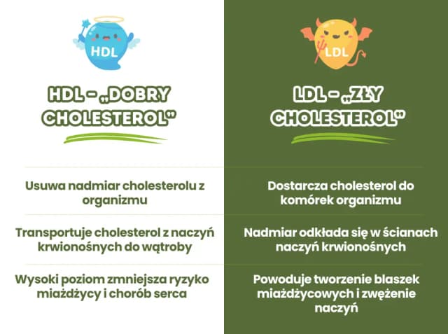 HDL jaki to cholesterol i jak wpływa na zdrowie serca?