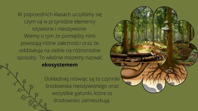 Co to jest szata roślinna i dlaczego jest kluczowa dla ekosystemu?